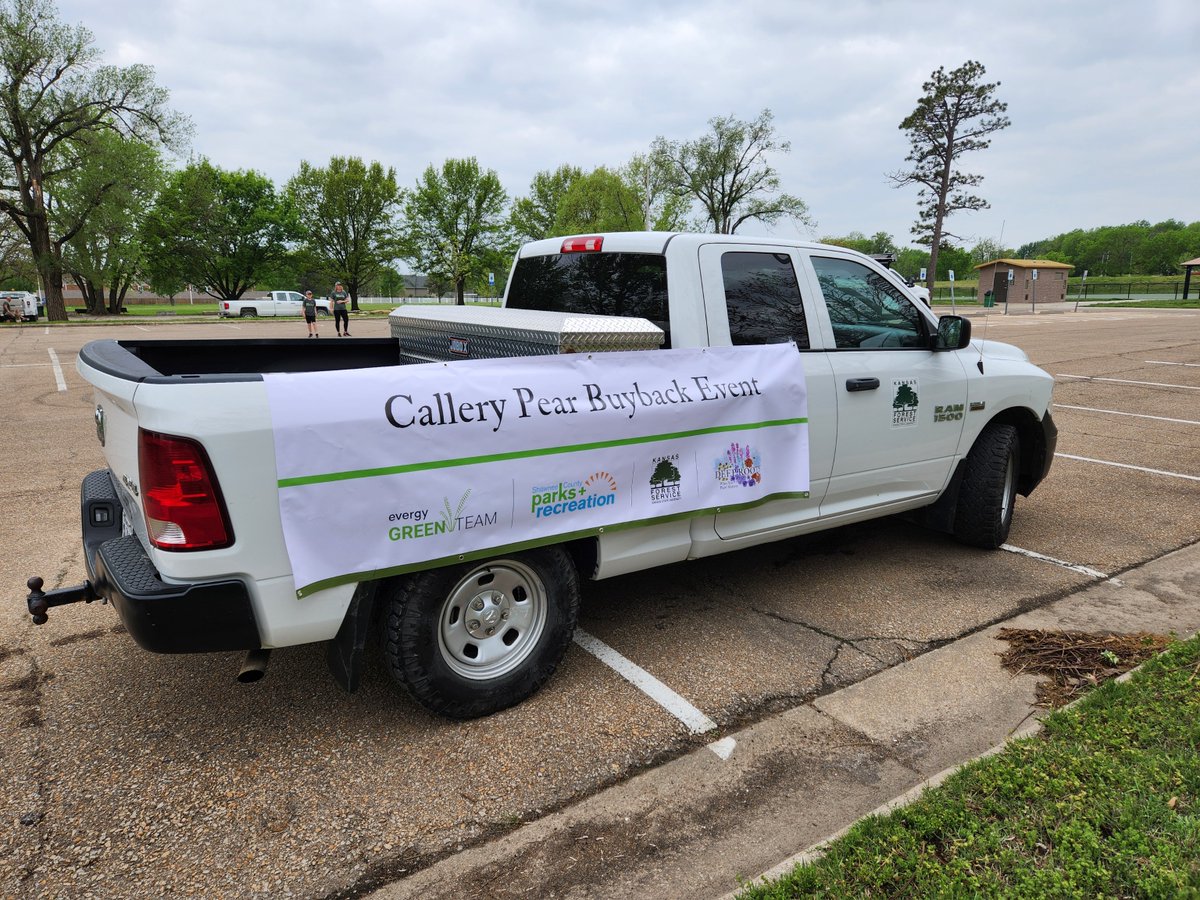 Thank you to everyone who participated in the 2024 Callery Pear Buyback! Removing invasive Callery pear trees is essential to protecting urban green spaces, rural properties, & our prairie ecosystems. Learn more: kansasforests.org/forest_health/… #foresthealthfriday