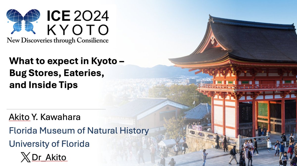Entomologists! Are you going to #ICE2024 in #Kyoto #Japan this August? Excited to be giving a talk on what to expect in Kyoto, insect stores, local food, inside tips on traveling, things to avoid, etc.! 5/20 1:30 pm EST. Register here! entsoc.org/events/webinar…. @ice2024kyoto_jp