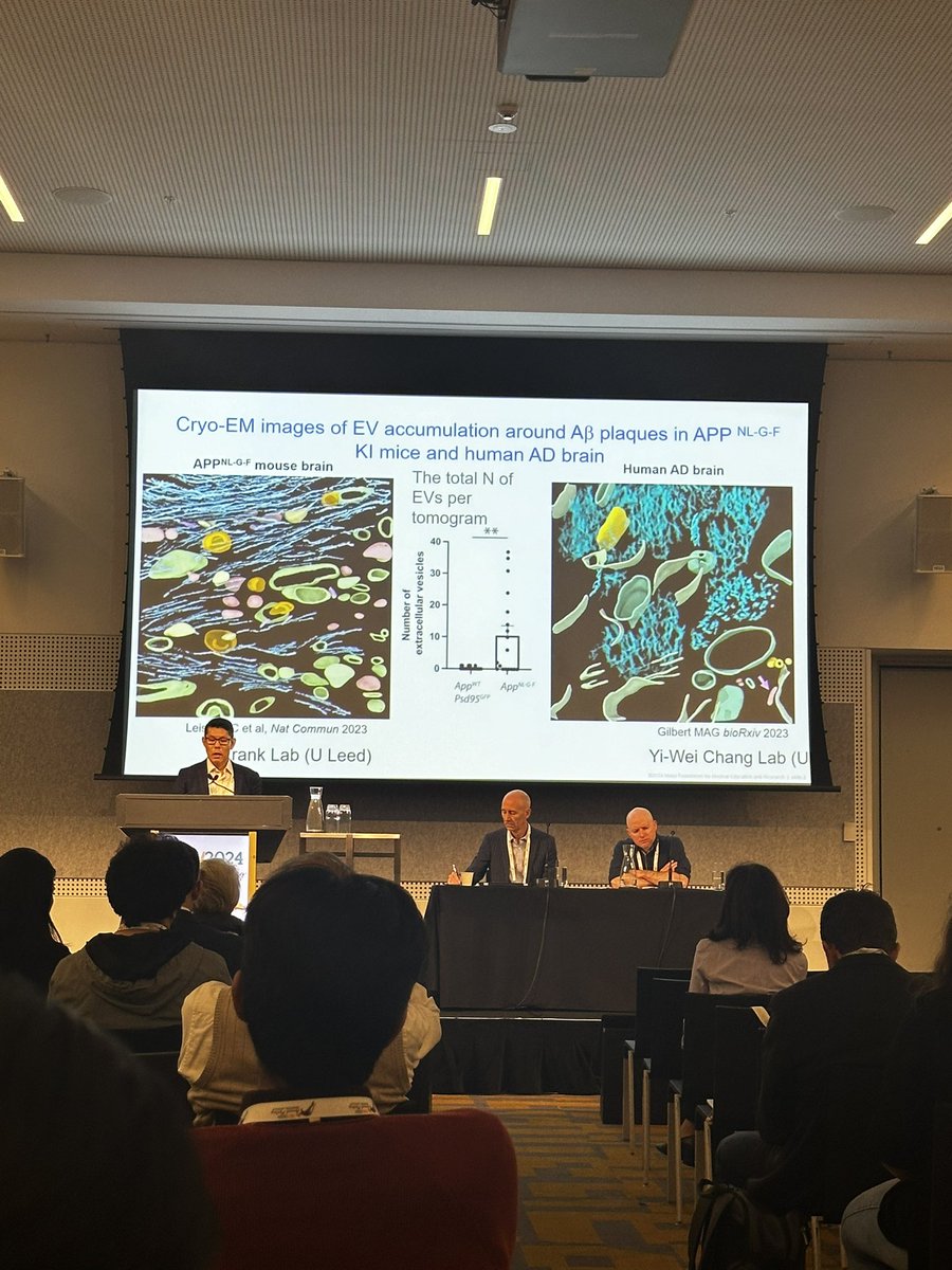 Among many amazing roles of #ExtracellularVesicles- millions of these tiny particles are working together to keep our brain functioning #ISEV2024 fascinating session on EVs and Neurobiology and Neurodegenerative disease Jason Hewitt <a href="/IsevOrg/">ISEV</a> #ISEV2024 #brainEv