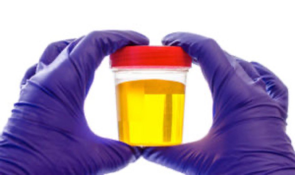 Got fake pee? We sell pure lab grade synthetic urine! #quickfix