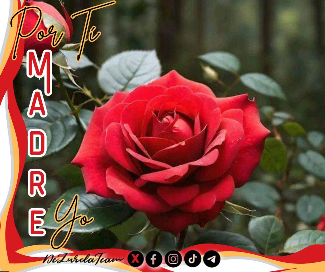 #PorTiMadreYo traeré cada tarde una hermosa rosa llena de agradecimiento 
#DeZurdaTeam 
#Plomo19