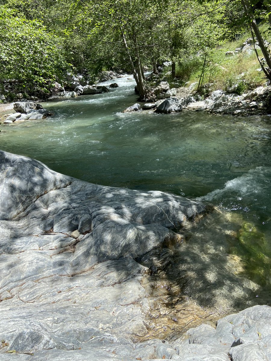 Jayfer213's tweet photo. Crystal Clear River Flowing Through Nature's Embrace 🌿💧 #NatureLovers #RiverMagic https://t.co/YaJwamg90Q
