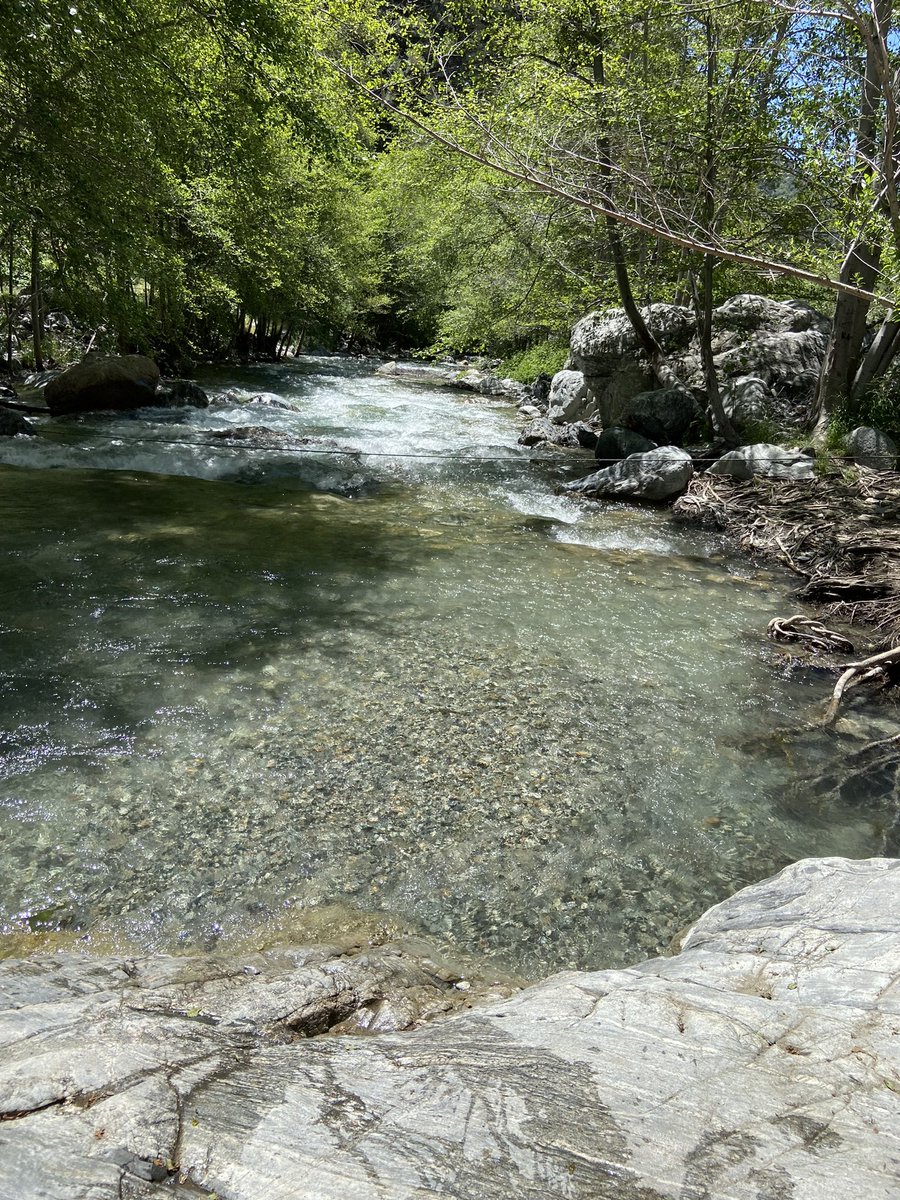 Jayfer213's tweet photo. Crystal Clear River Flowing Through Nature's Embrace 🌿💧 #NatureLovers #RiverMagic https://t.co/YaJwamg90Q