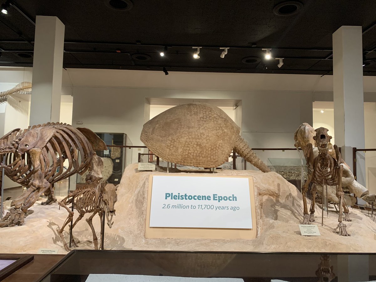 MsFloresUSHist's tweet image. Glad I got to attend Mr. Ahmadโs 7th grade PBL trip to Austin. We had the opportunity to explore the Texas Science & Natural History Museum.