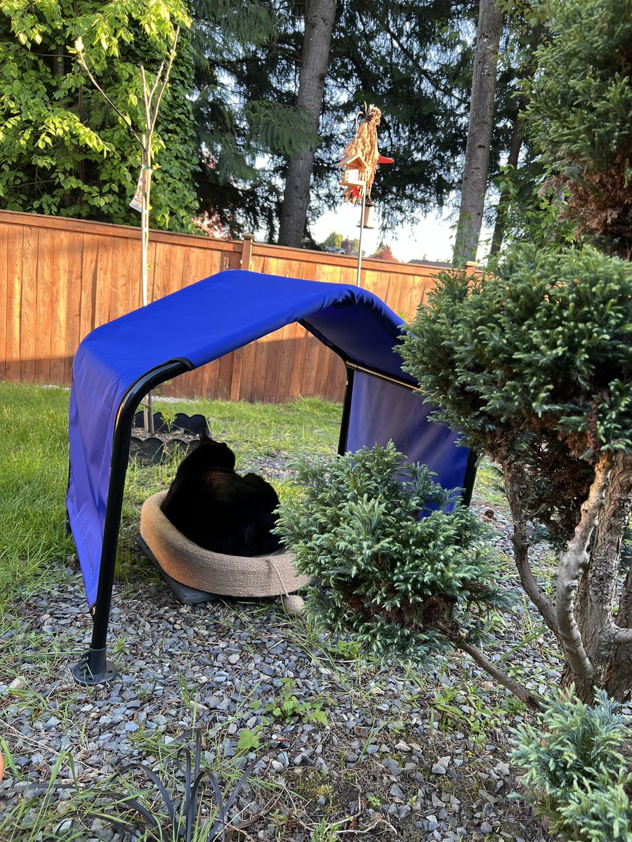 夏天就在外面混了。