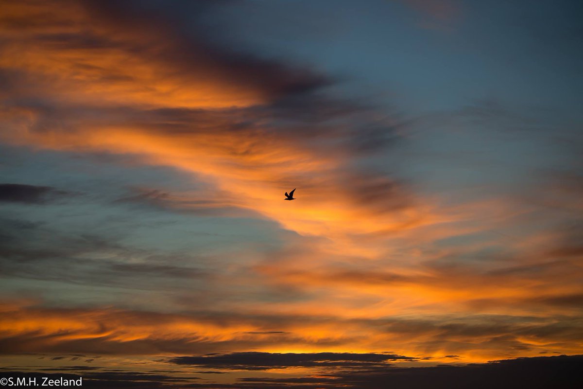 Sometimes we may feel like a lone bird gliding through the sky.