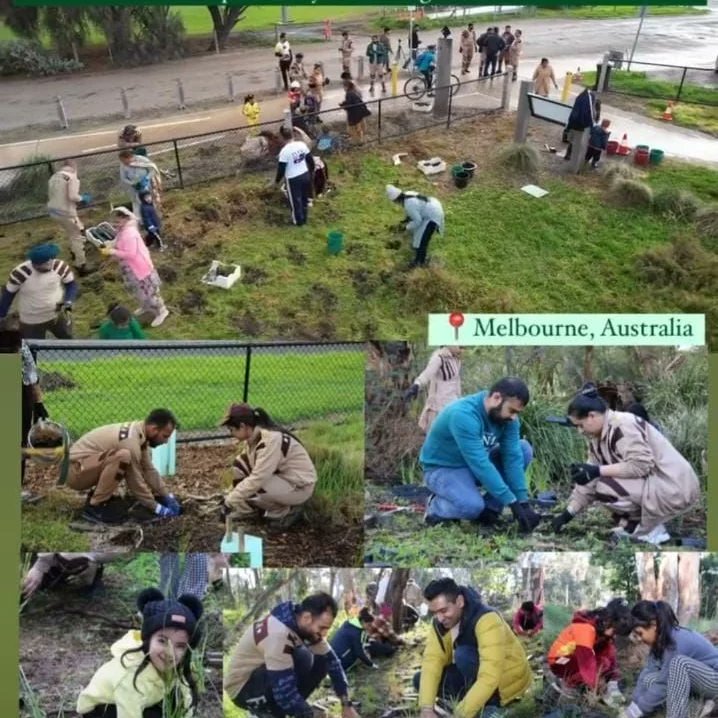 Pollution not only affects human body but also the other living beings and even the whole enviornment. Dera Sacha Sauda is making a huge difference in decreasing the pollution by organising Cleanliness campaigns now and then in different cities, villages. #PollutionFreeNation