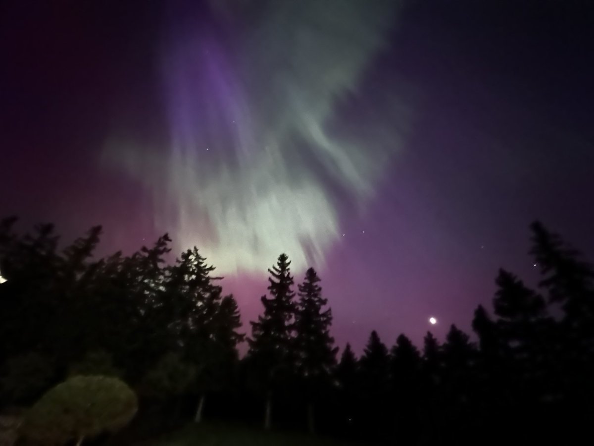 Lisa_Ont's tweet image. Northern Lights! Near Lucan, ON #Auroraborealis