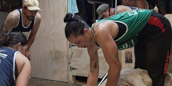World record shearer Catherine Mullooly has helped fill a two-day shearing workshop in Victoria within 24 hours, highlighting the growing role of women on the handpiece in Australian wool sheds

👉 loom.ly/sYBffIs