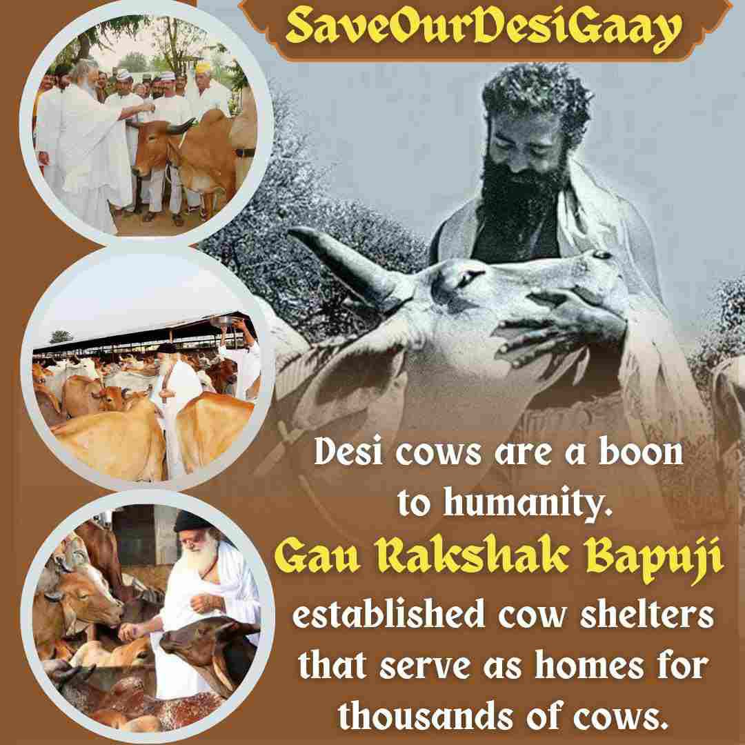 Sant Shri Asharamji Bapu 
Gau Rakshak
Gaay Hame Palti Hai
#SaveOurDesiGaay ,The products obtained from cow are a boon for us, it increases immunity, protects us from many diseases, cow sustains us, its safety and protection is everyone's duty,Cow has also been called mother.