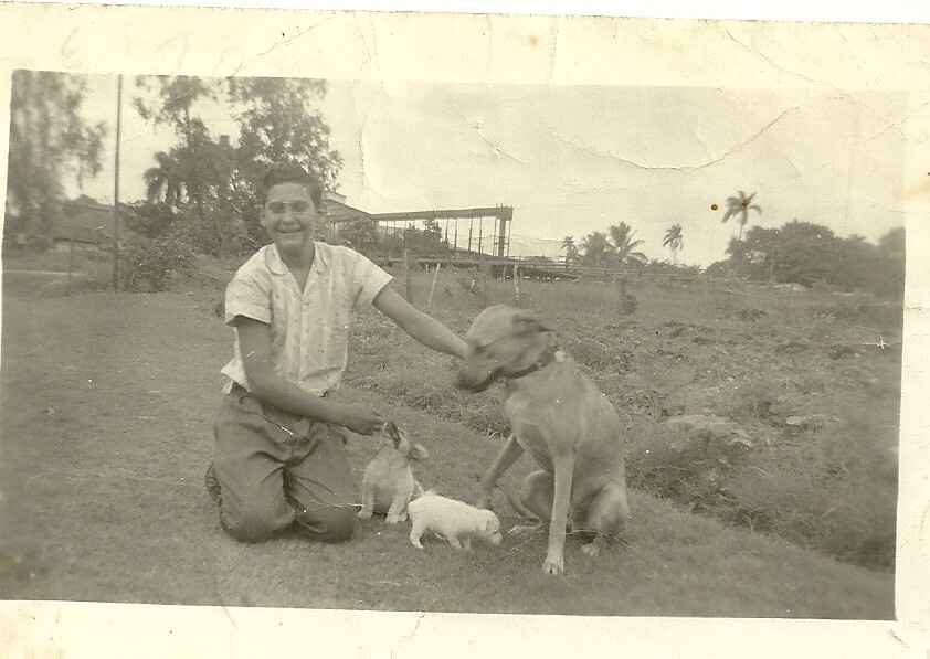 F. E. Guerra-Pujol 🇨🇺🇲🇽🇮🇱🇯🇲🇯🇵 tweet media