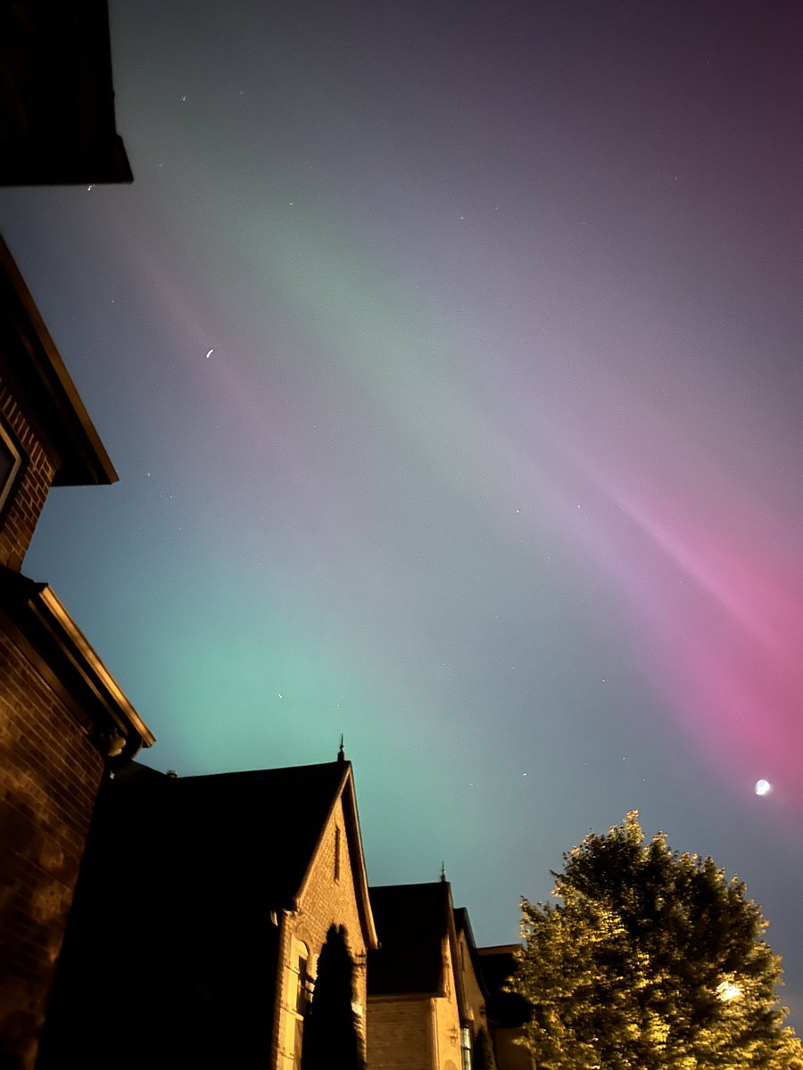 Noah Needleman tweet media