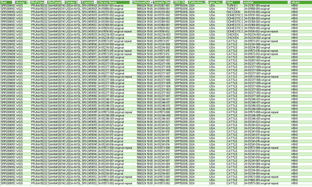 RajlabN's tweet image. #H5N1 Updates | #HPAI #USA 

56 more whole genome sequences of H5N1 are available in NCBI SRA database | Release date 5/9/2024   
submitter @USDA #NVSL

45 #Cattle, 6 #Cat, 2 #Turkey, 2 #Chicken &amp;amp; 1 #Raccoon 

Will have some preliminary analysis of all new sequences soon.

1/n