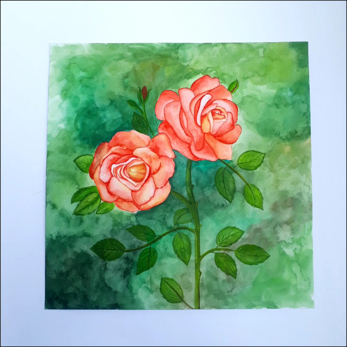 Twin rose🌹
.
Water colour painting 🖌️🎨
.
.
.
.
#rolloartgallery #rollo #rolloartgallerymeerut #rolloradhika #watercolordrawing #watercoloring #watercolors #waterpainting #watercolorart #watercolourinspiration #watercolor_gallery #rose #rosepainting #rosewatercolor #art #artist