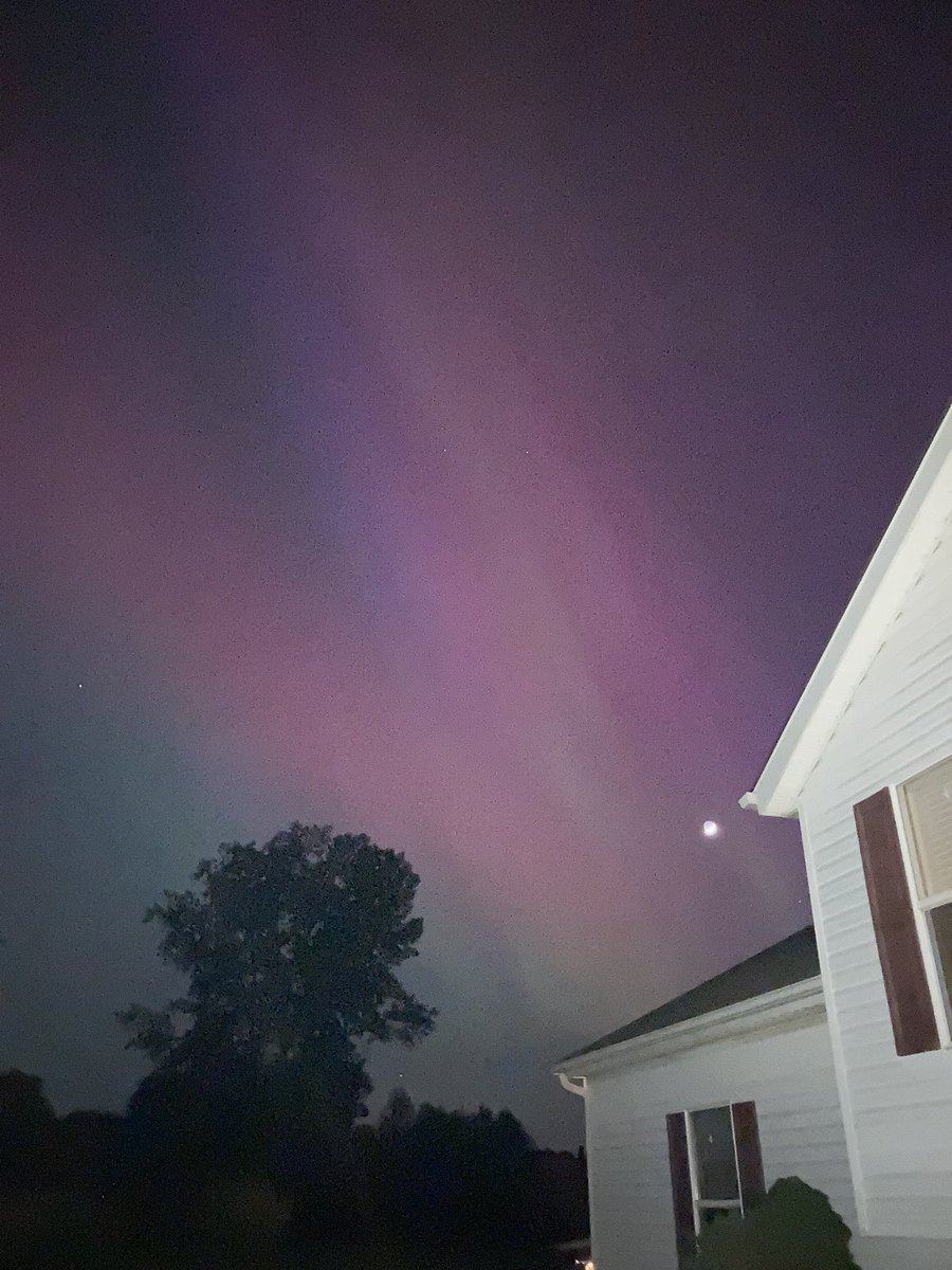 Adam Hook tweet media