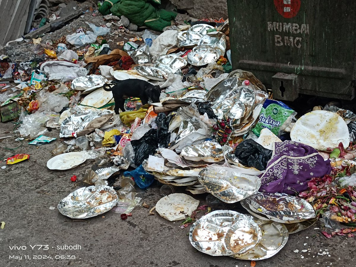 Lijjat papad kachrapeti
Govandi 88
#straydogs
#Indies 
@mybmcWardME 
@mybmc 
#bmc
#hunger
#thirst
#medicalcare
#vetetnaries
Sir chembur govandi madhil koni feeder hya puppy la Jevan deil ka.