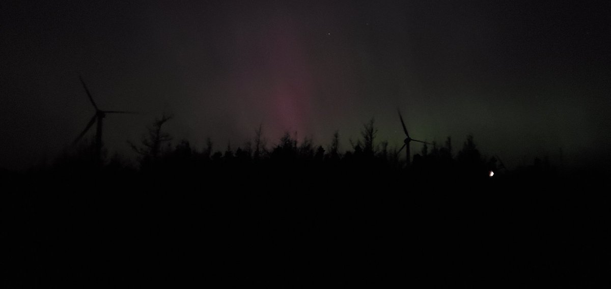 Sean Doyle tweet media