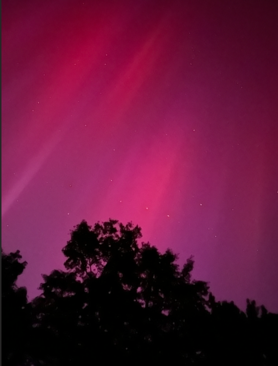 RICHARD ROGERS tweet media