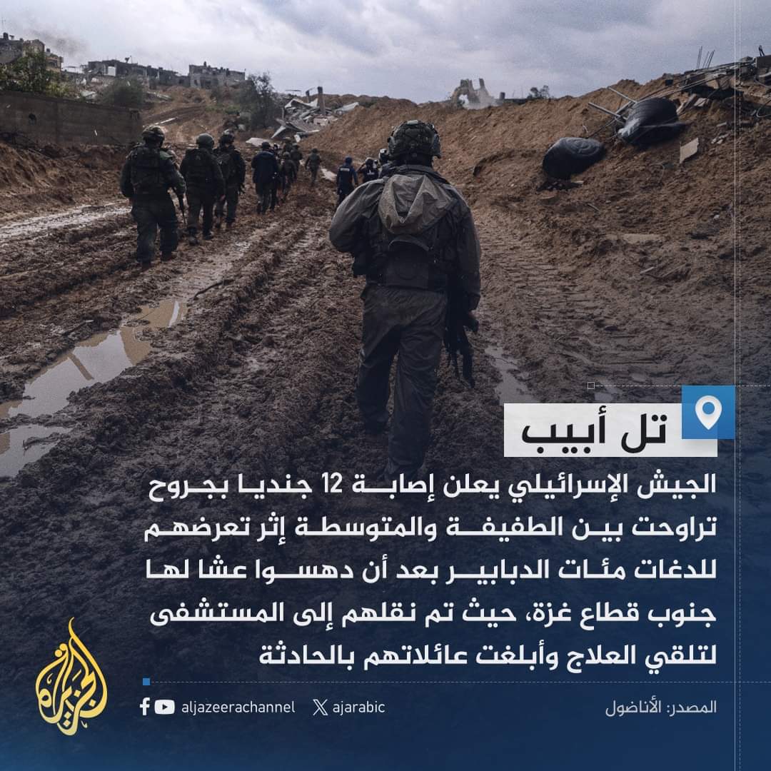 الدبور عنده كرامة اكثر من كثييير ناس 🐝