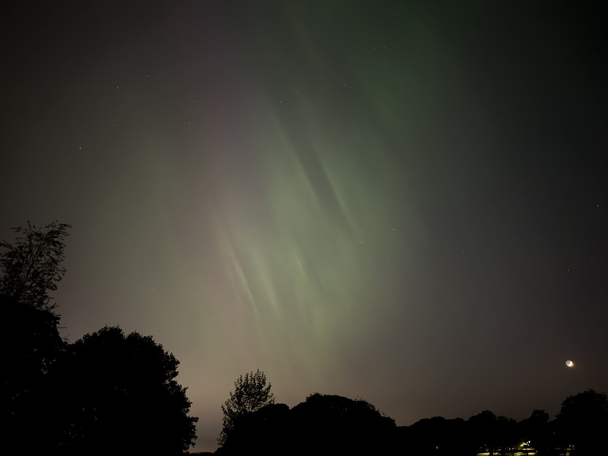 Angus 🇪🇺 tweet media