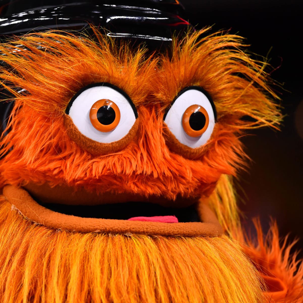 dhwani (@dhwanisaraiya_) on Twitter photo 