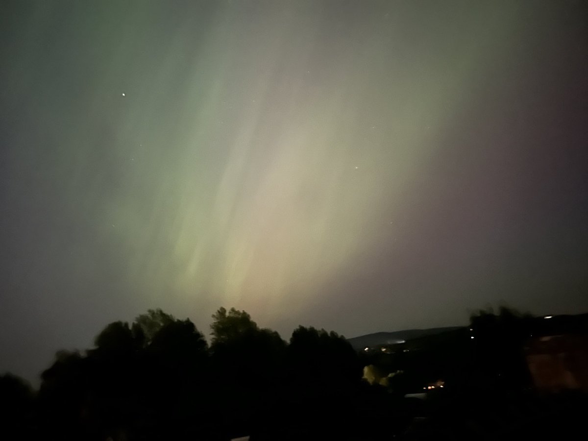 Thomas Shaw tweet media