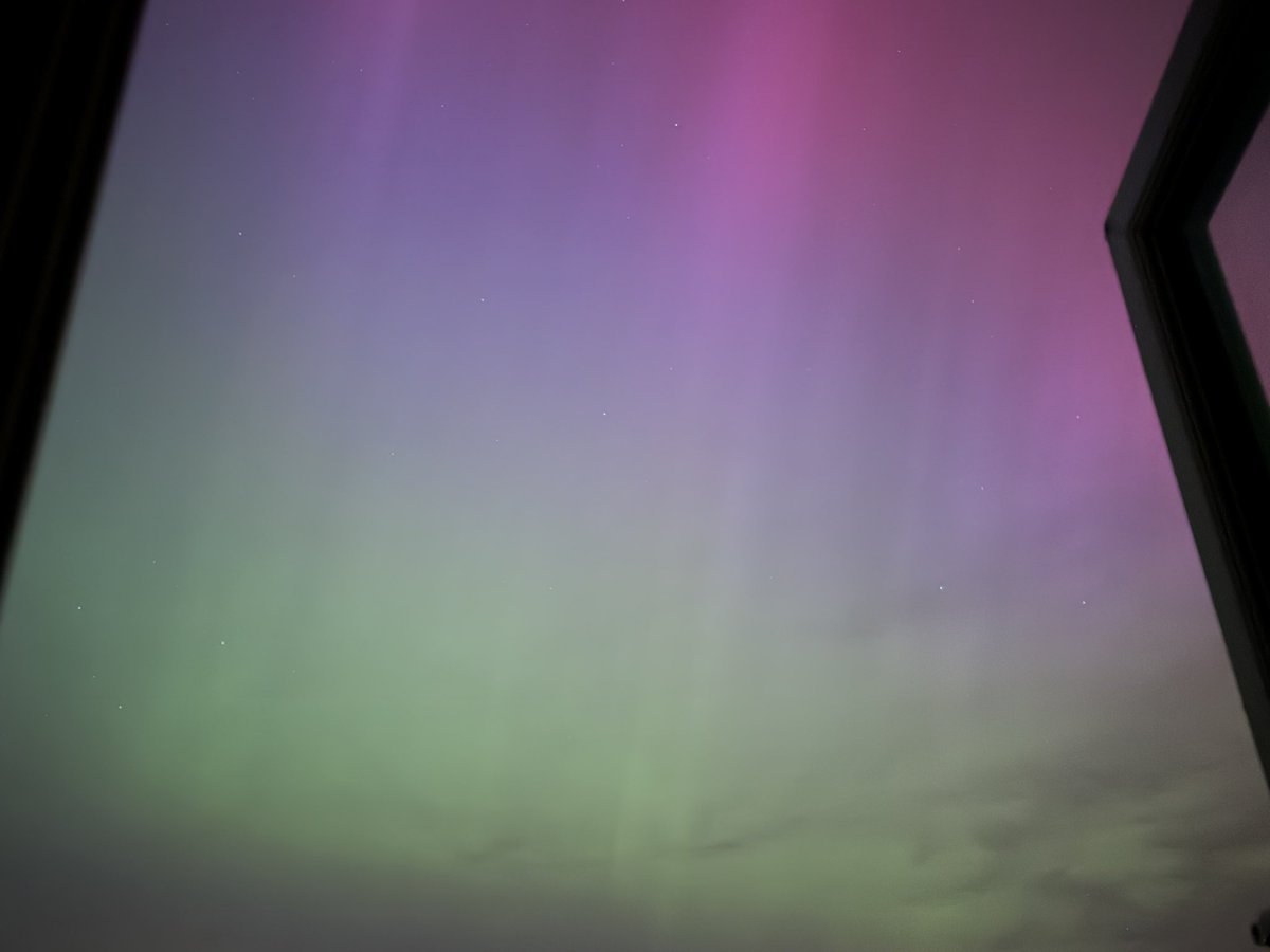 Craig Snell tweet media