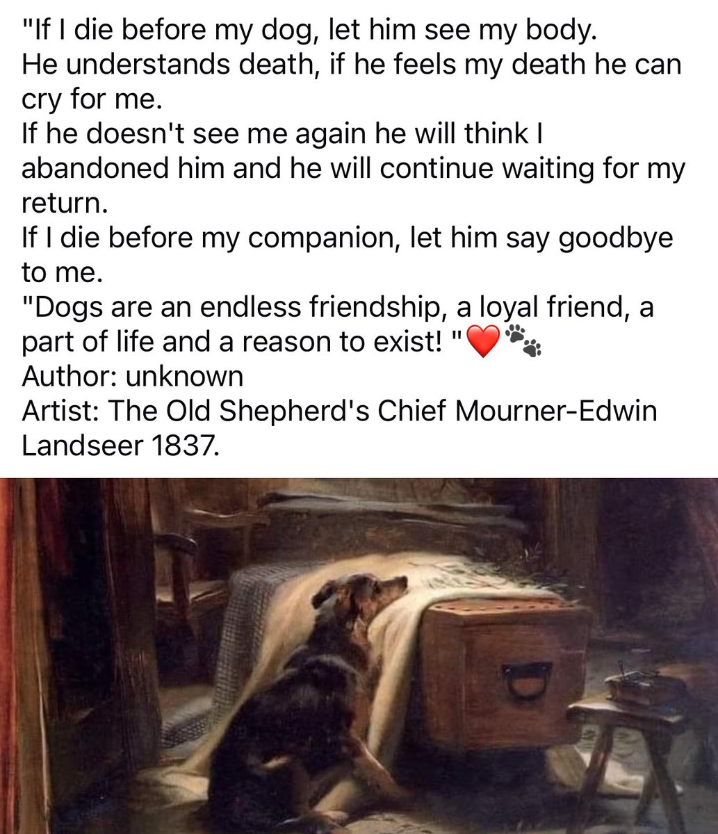 This 👇🏻   🥲💔