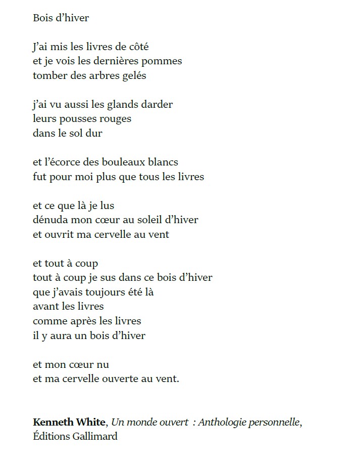 Juste un poème 1000 & 174 @drmlj @vannes111 @Becket6 @Armelle_Le_Gall @cdiDiderot @saomalgar @Elisamuze @Fcahen @_Lichtzwang @barbimathou @raboltfreder @vivianeghesq @jmlebaut @chauvinclo @claire_tstt @lvighier @moniqueroyer @petit_nanne