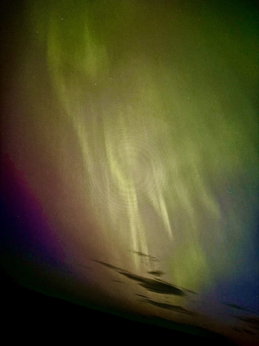 Nick Gresswell tweet media