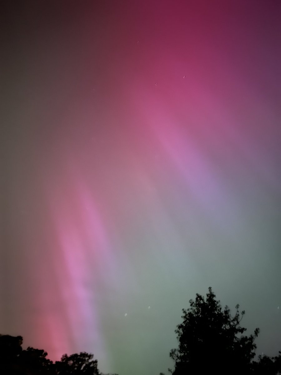 Dawn MA NPQSL 🐦 💙✖➗➕➖💙💛 tweet media