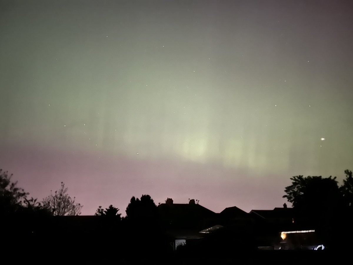 Vicky 🌻 tweet media