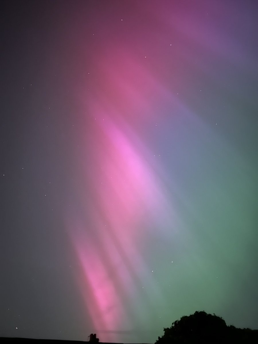 Vicky 🌻 tweet media