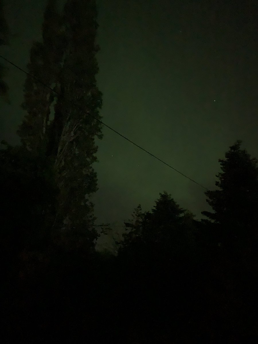 Never thought I would see the #NorthernLights from my bedroom window!

And here’s visiting Orkney three times in the past few months to see them without success!