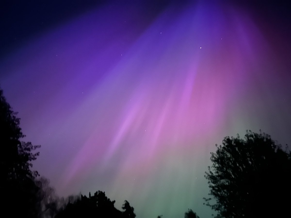 Jonathan Mace tweet media