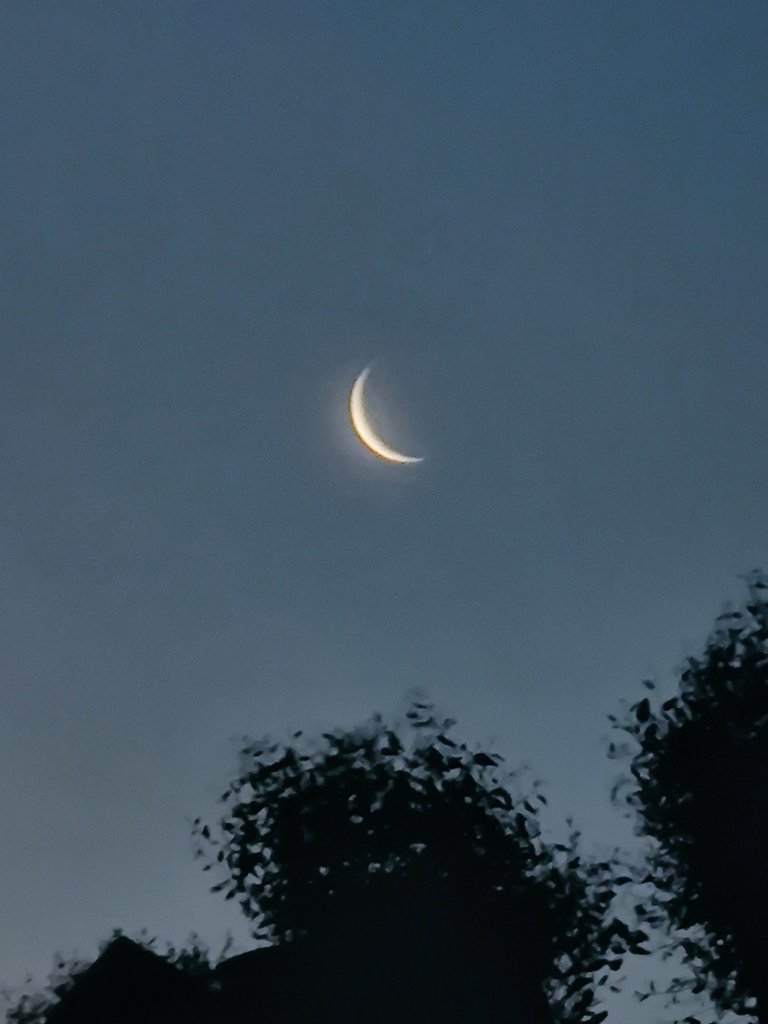 Ya la vieron? Si no, salga de inmediato a ver la luna creciente que tenemos en dirección poniente! Un nuevo ciclo lunar comienza!