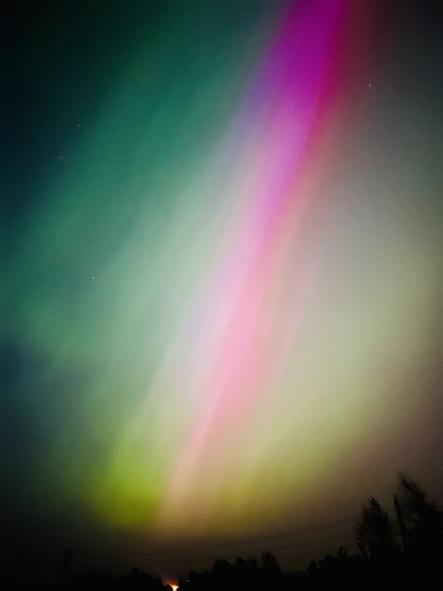 Incidentally Bentley tweet media