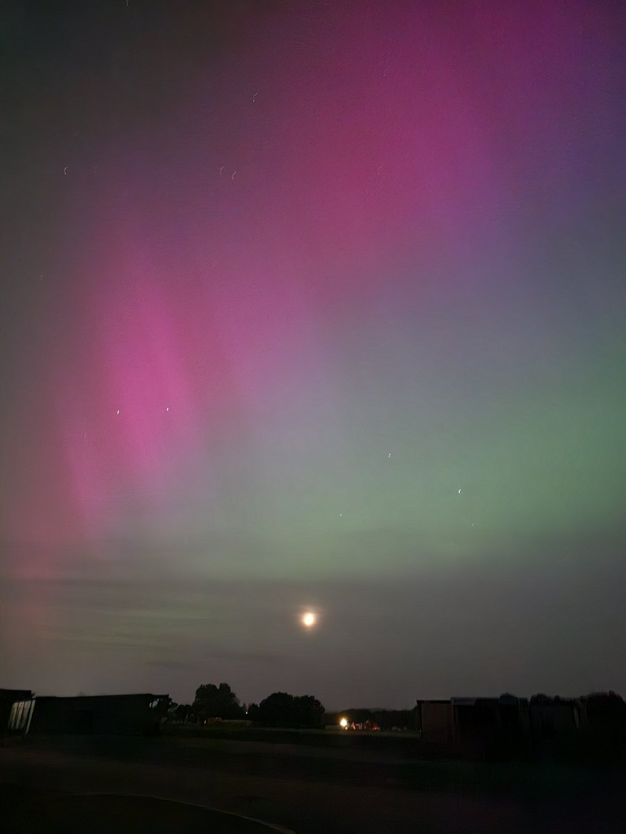 Dan Portch ⭕ tweet media