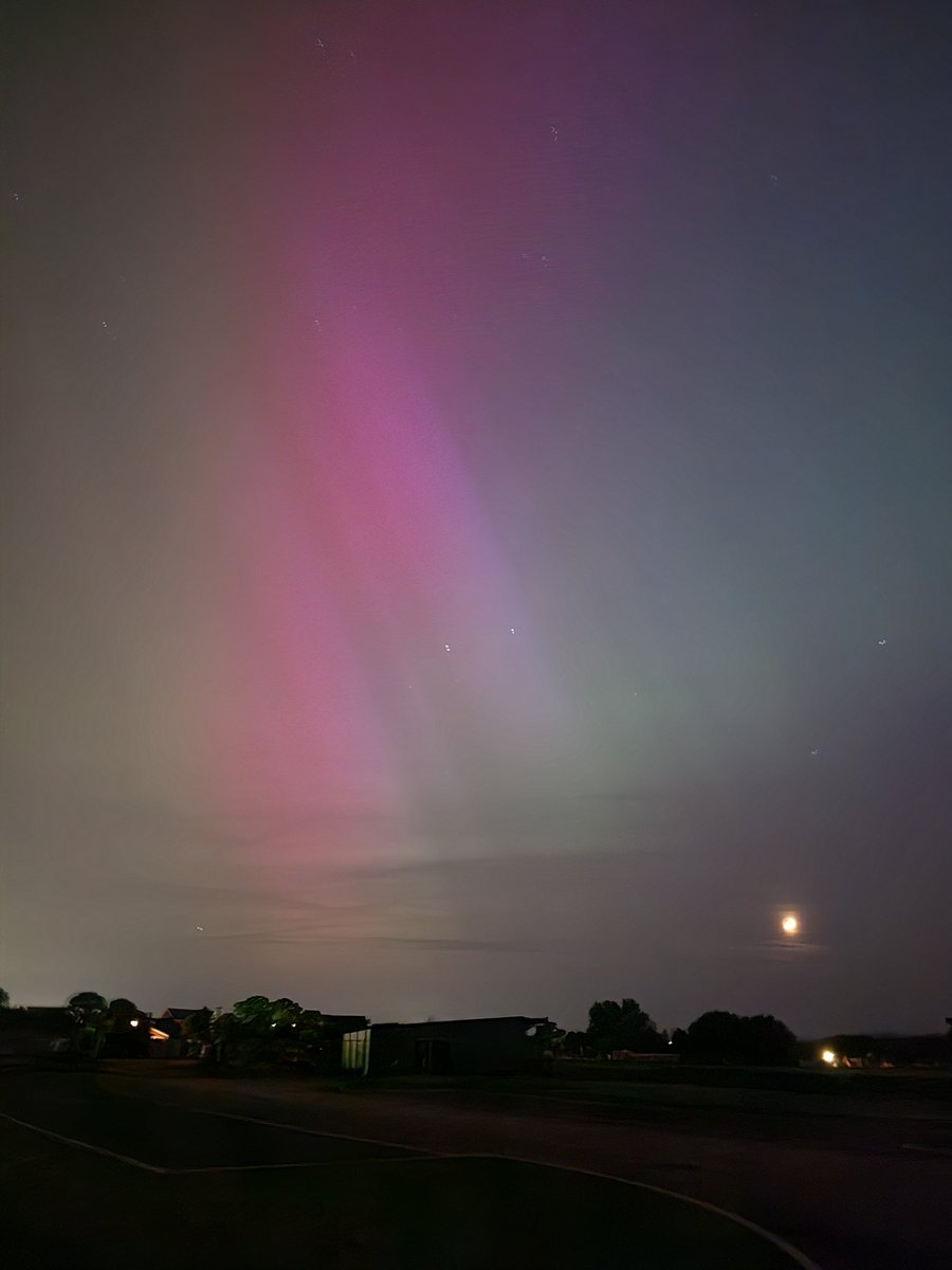 Dan Portch ⭕ tweet media