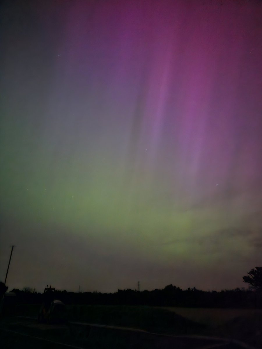 Dan Portch ⭕ tweet media