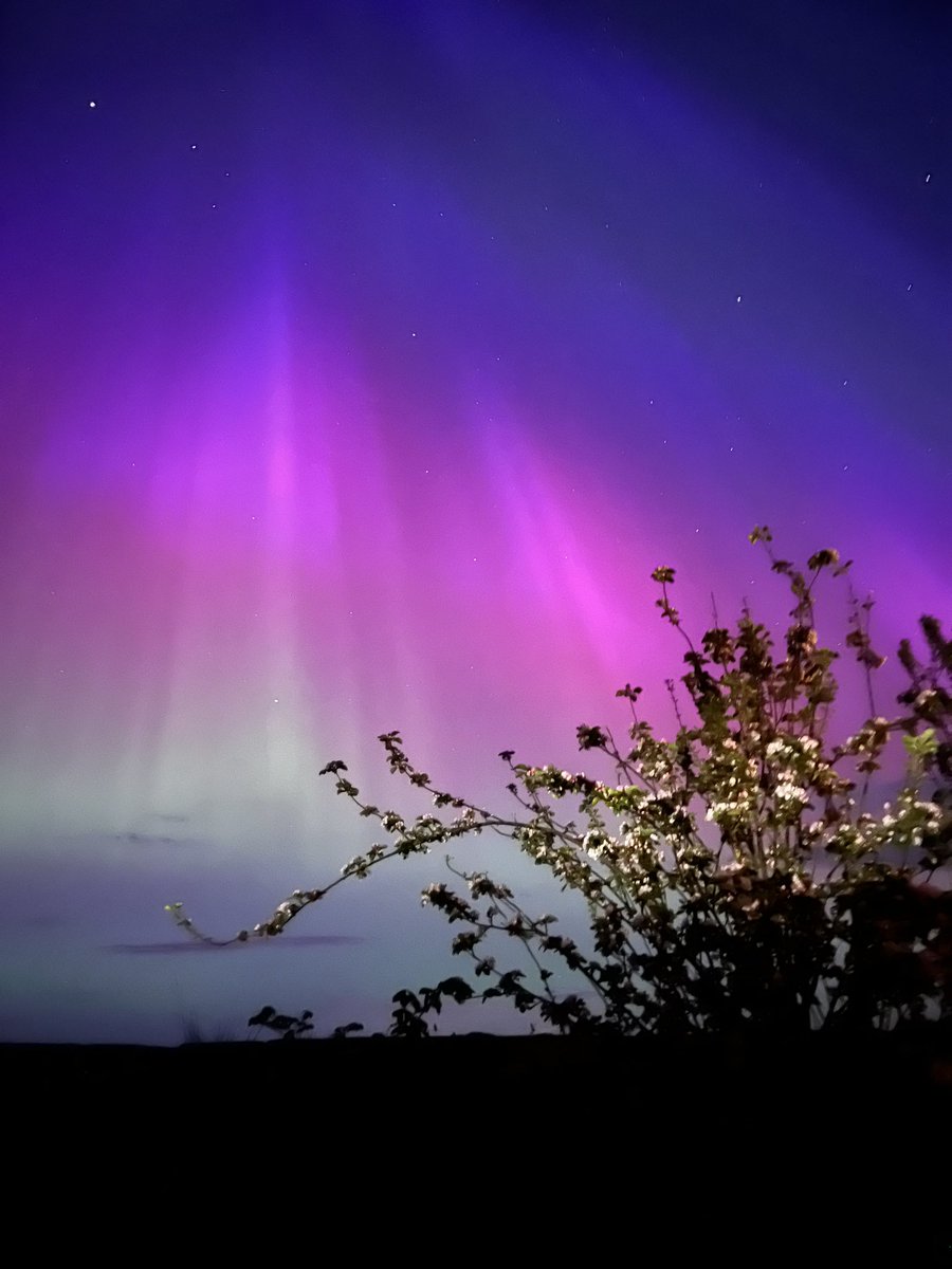 Aurora borealis from the farm #montrose #angus #Auroraborealis