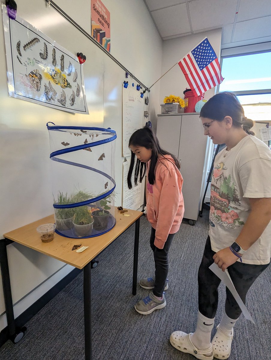 Mrs. Kidon (@kidonsclass) on Twitter photo Thanks <a href="/NoviMeadows/">Novi Meadows Elem.</a> for the wonderful tour this morning...To say the 4th graders <a href="/NoviWoods/">Novi Woods Elem.</a> are EXCITED to attend 5th grade here in the fall is a huge understatement!!#novipride Thanks <a href="/NoviMeadows/">Novi Meadows Elem.</a> for the wonderful tour this morning...To say the 4th graders <a href="/NoviWoods/">Novi Woods Elem.</a> are EXCITED to attend 5th grade here in the fall is a huge understatement!!#novipride