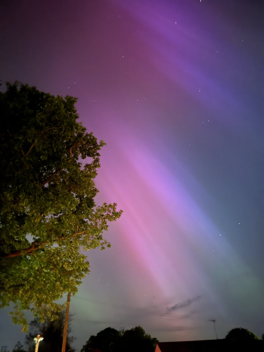 I am screaming. Northern lights in Hertfordshire, UK. In my garden. AUTISTIC JOY MAXIMUM. AHHHH. 😍 #aurora