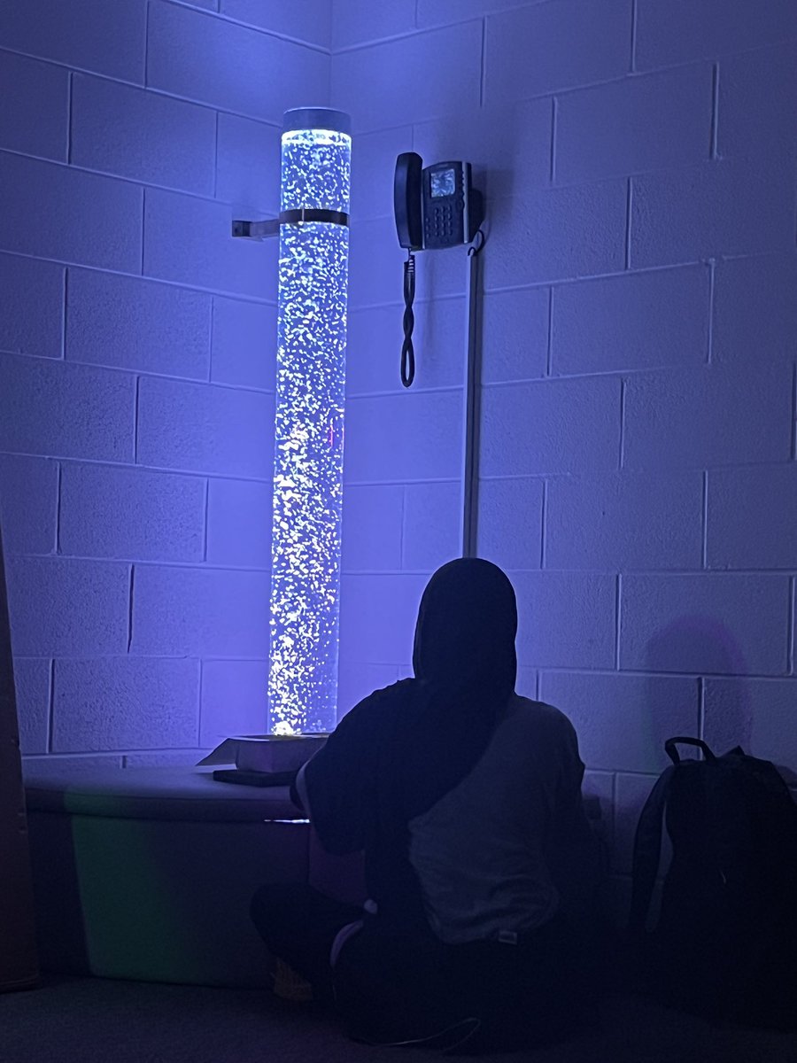 martipineLCSW's tweet photo. I wrote a grant to expand our sensory spaces and love how much the Ss have enjoyed it! Check out some of the new additions https://t.co/4orLB28Rh1
