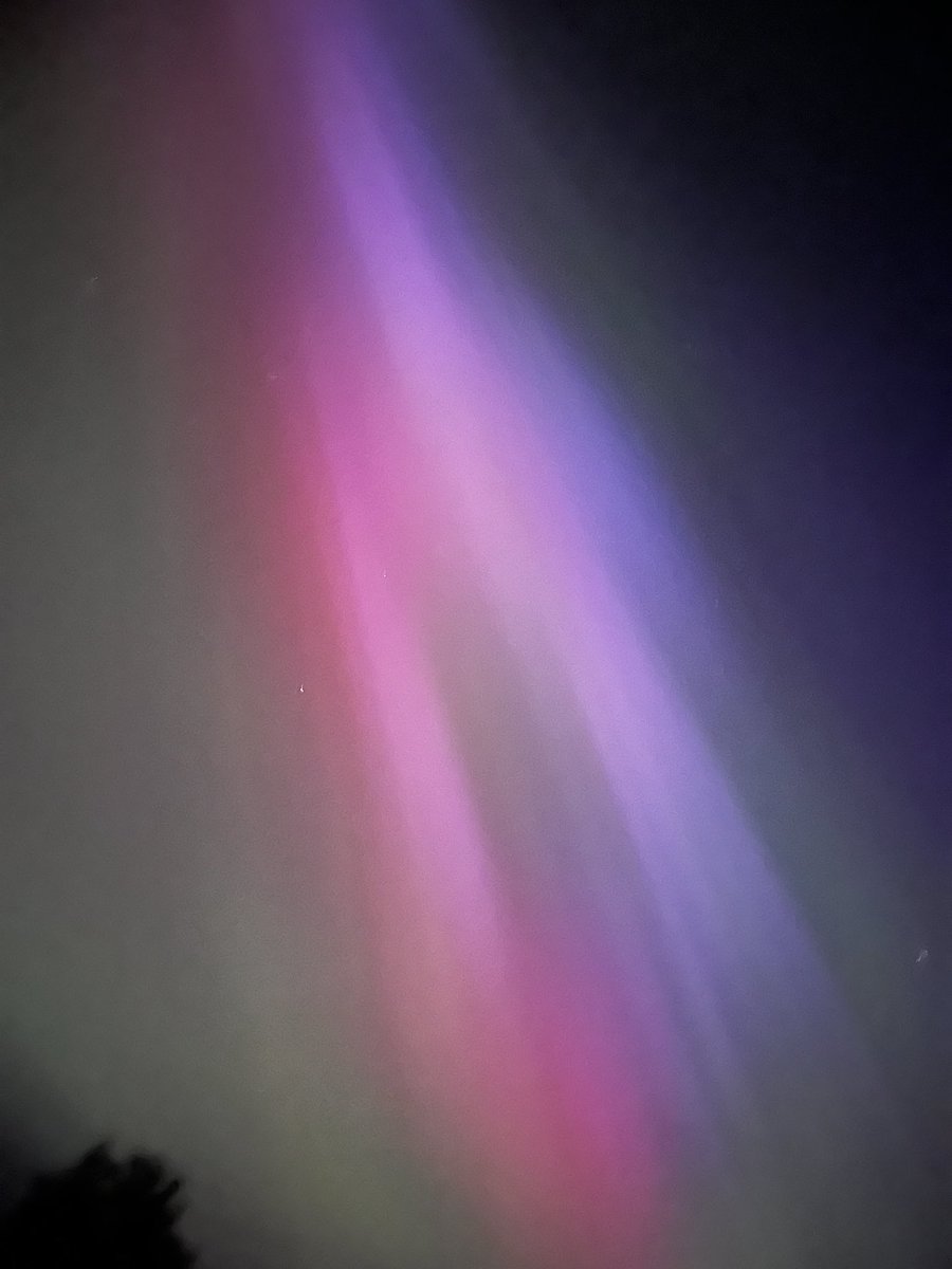 Deirdre Murphy tweet media