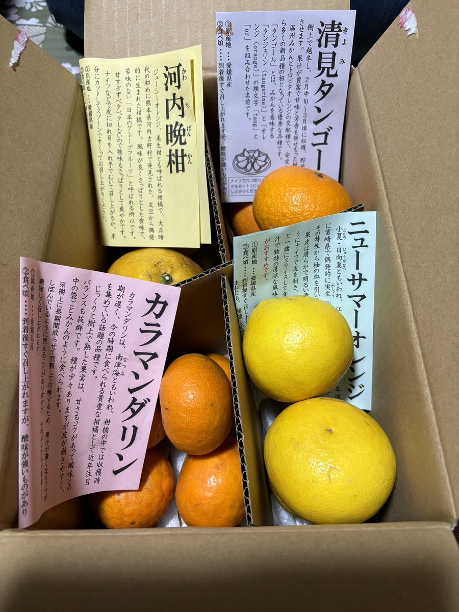 今年の母の日プレゼントはのま果樹園さん （@nomakajuen ）の柑橘味比べ 箱開けて2人でテンション↑↑↑ 柑橘好きの母はニコニコでした😆 美味しく食べるぞ✨