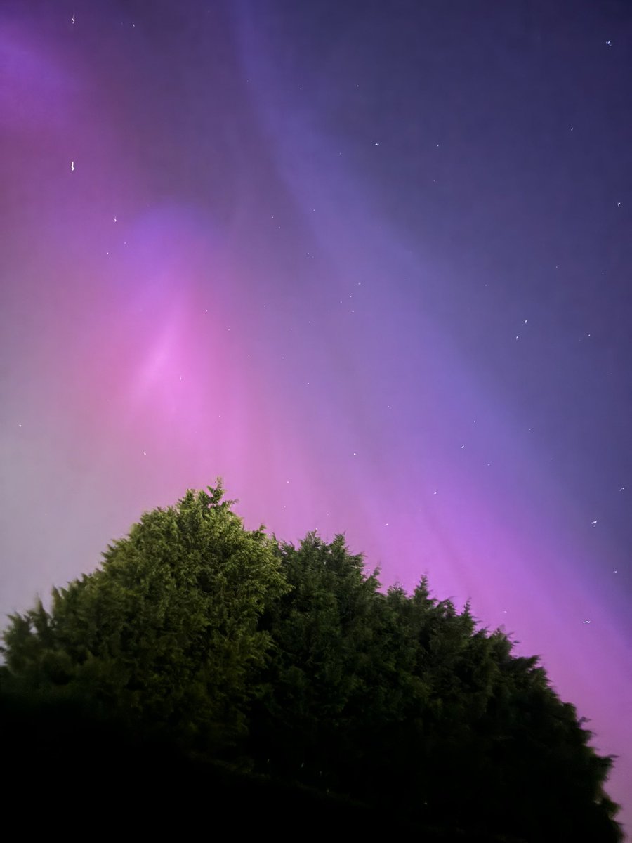 The #aurora from my back garden, night made 🤩✨