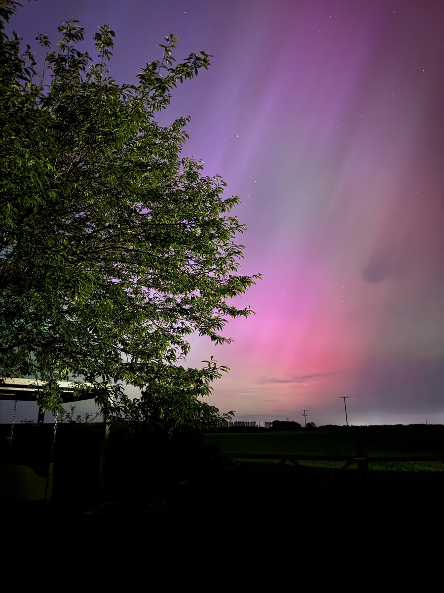 Northern lights in the back garden, in West Suffolk.