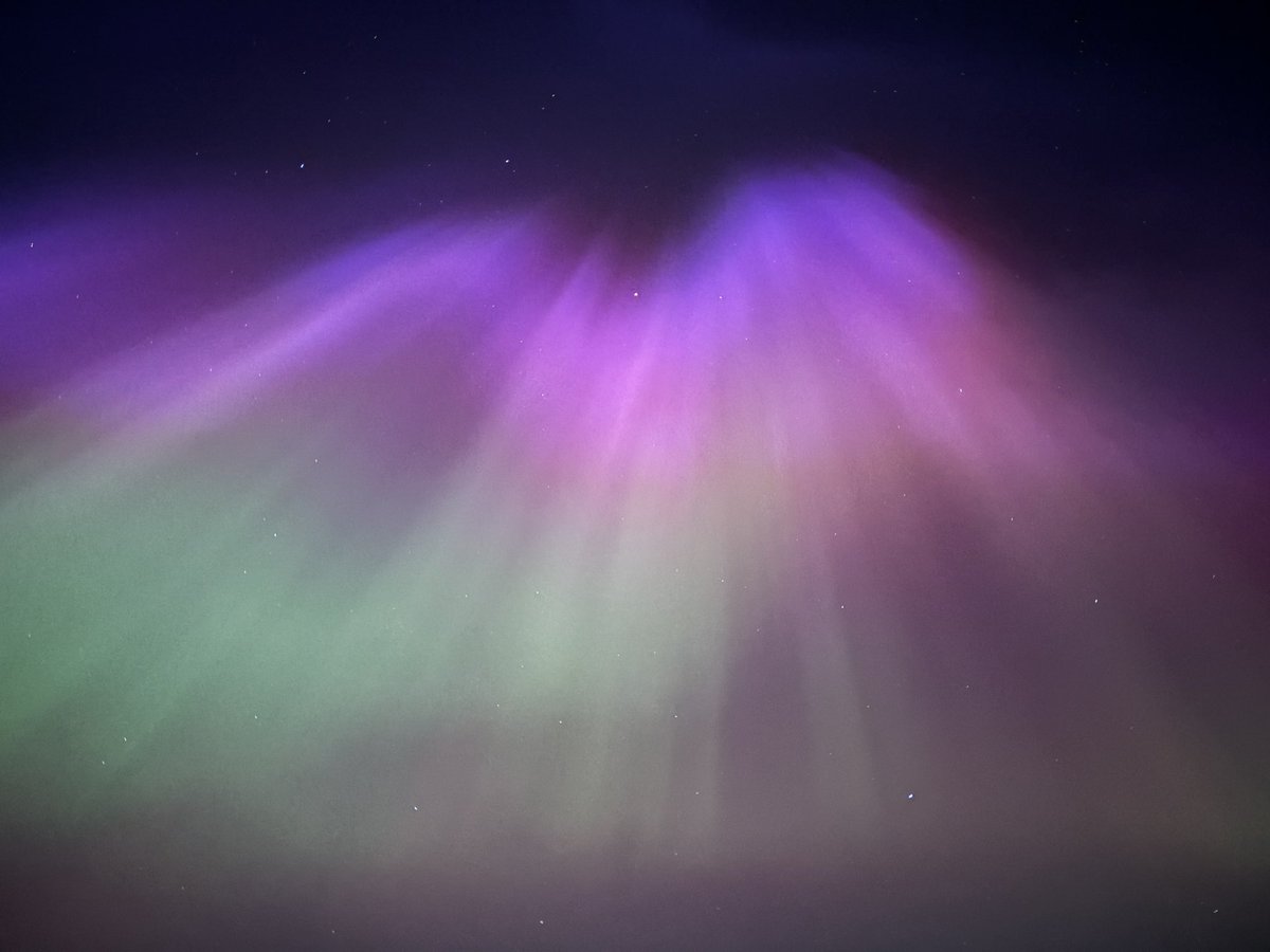 Nick Gresswell tweet media