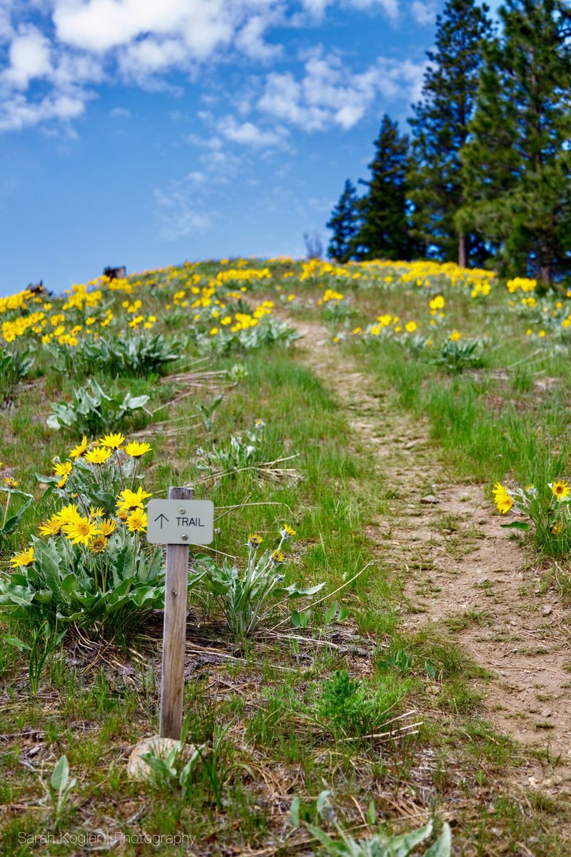 📸: Where will your trail take you?